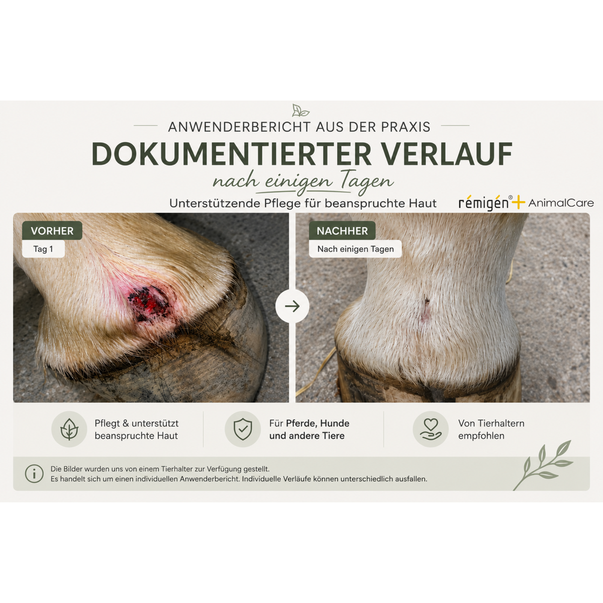 rémigén+ AnimalCare 10+ – Vegane Hautpflege-Suspension für Tiere | 30 ml
