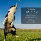 ASCO Dummy für Hundetraining, Apportier- und Snack-Dummy 21x7 cm