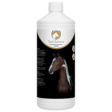 Excellent -  Pferd Gesamtbalance 1 l