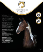 Excellent -  Pferd Gesamtbalance 1 l