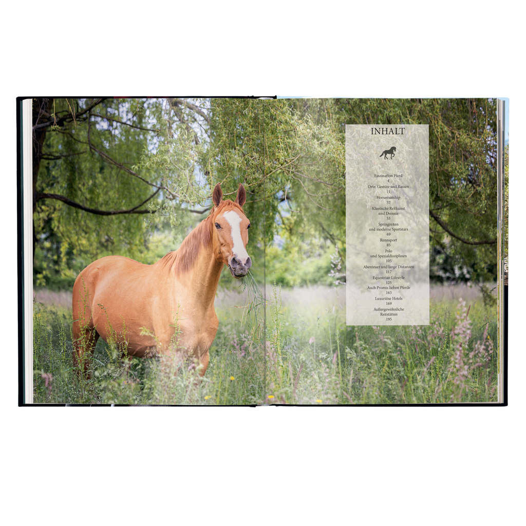 Reiten - Das ultimative Buch