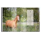 Reiten - Das ultimative Buch