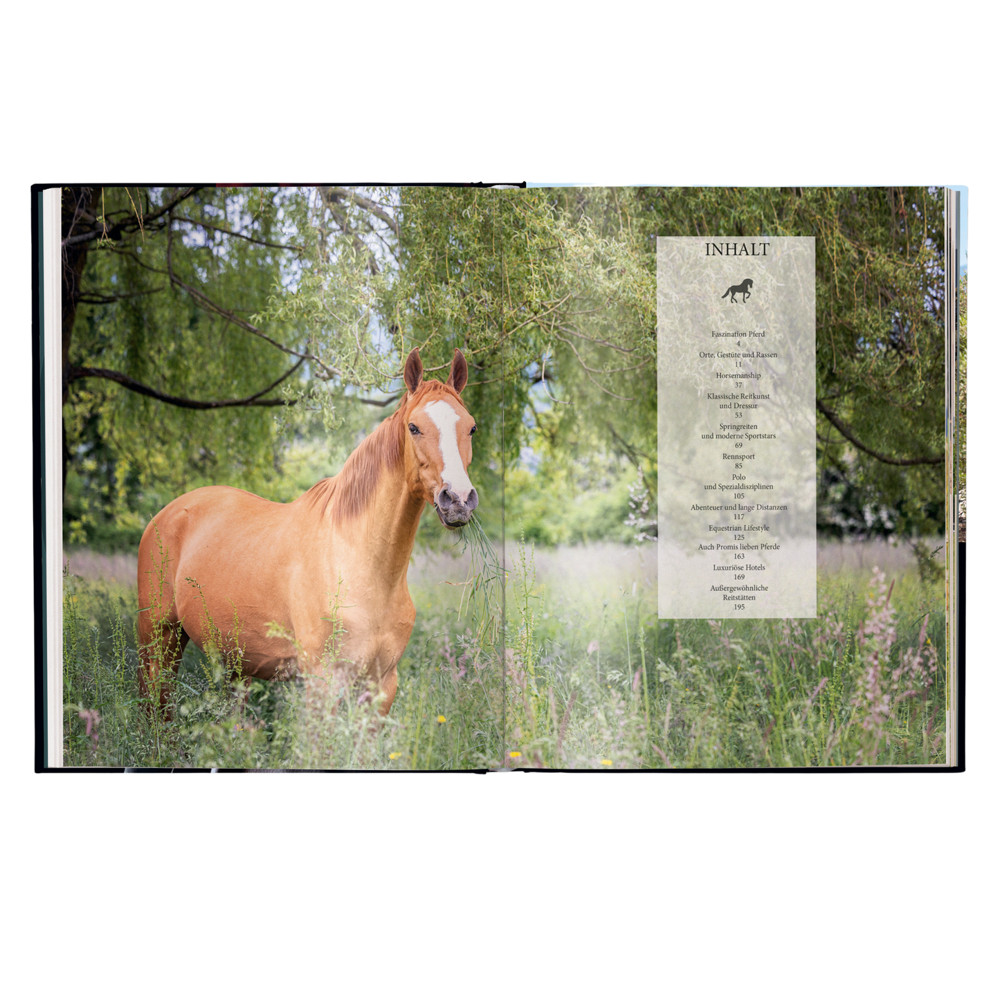 Reiten - Das ultimative Buch