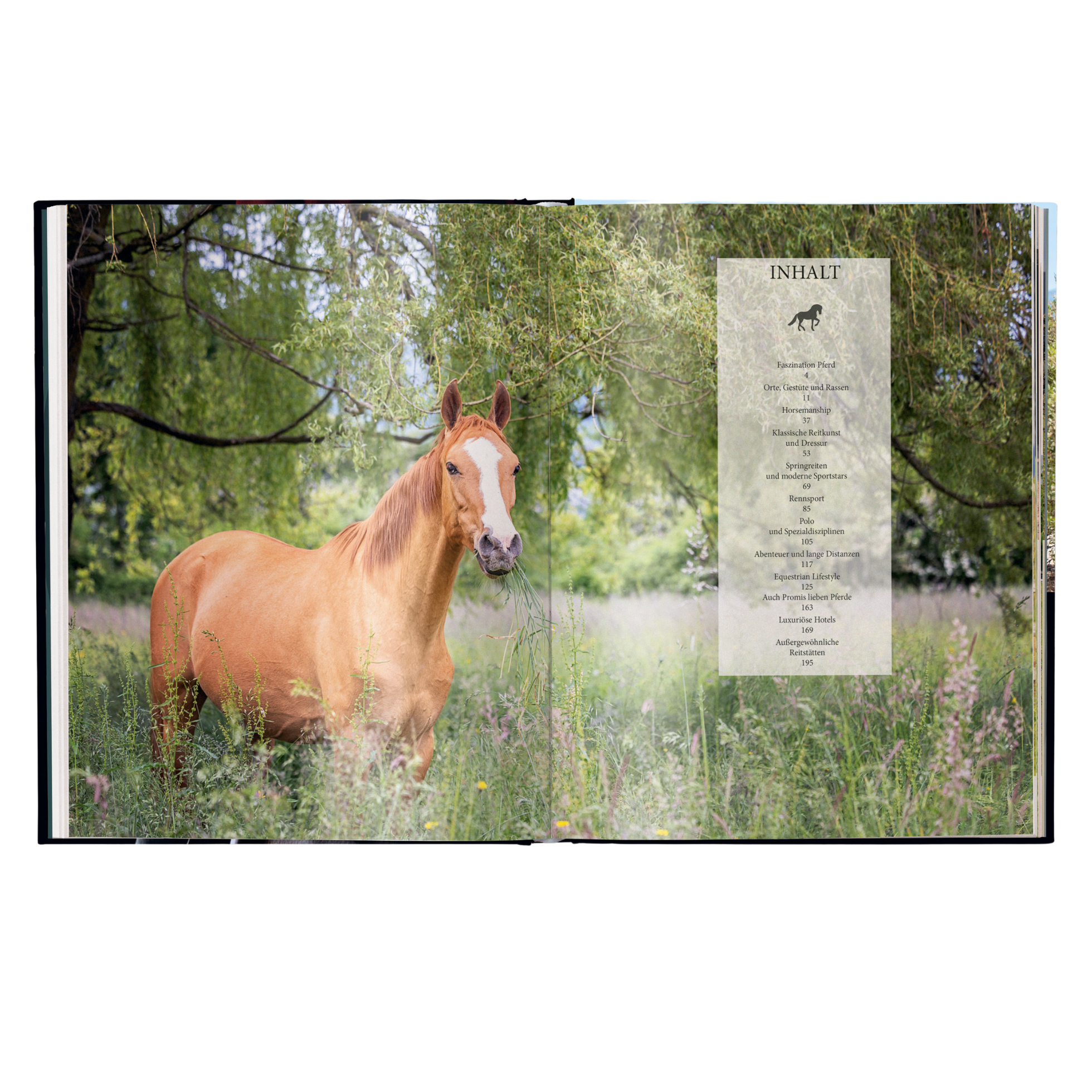 Reiten - Das ultimative Buch