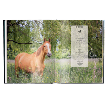 Reiten - Das ultimative Buch
