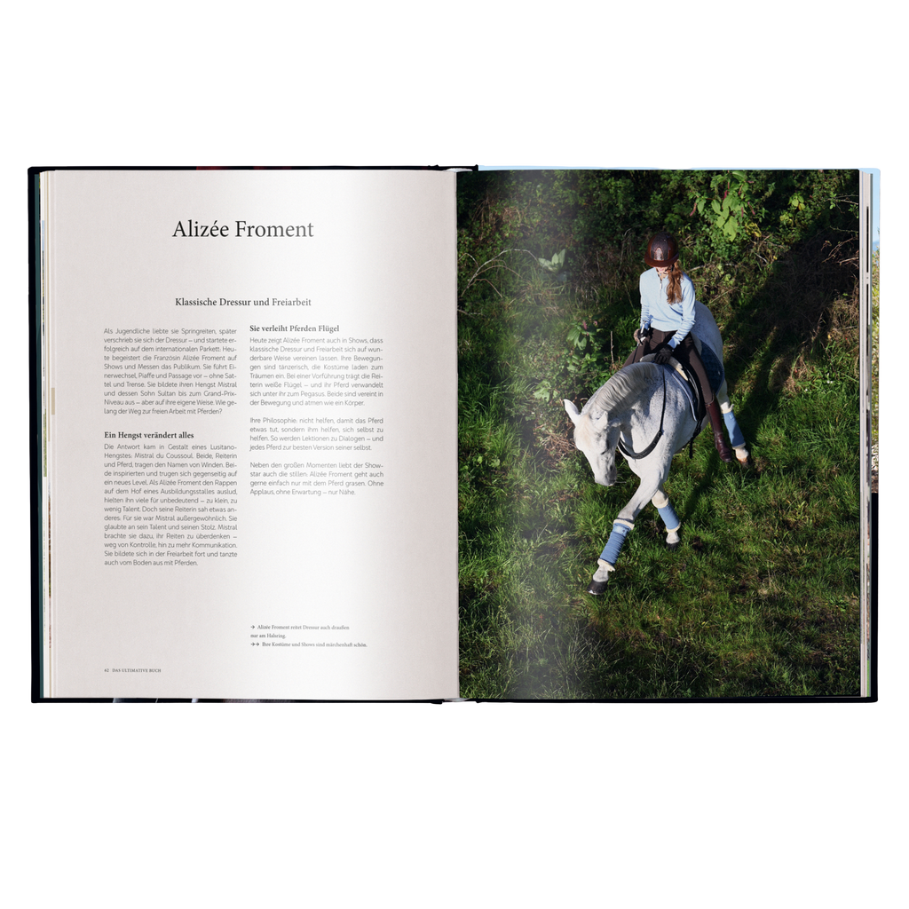 Reiten - Das ultimative Buch