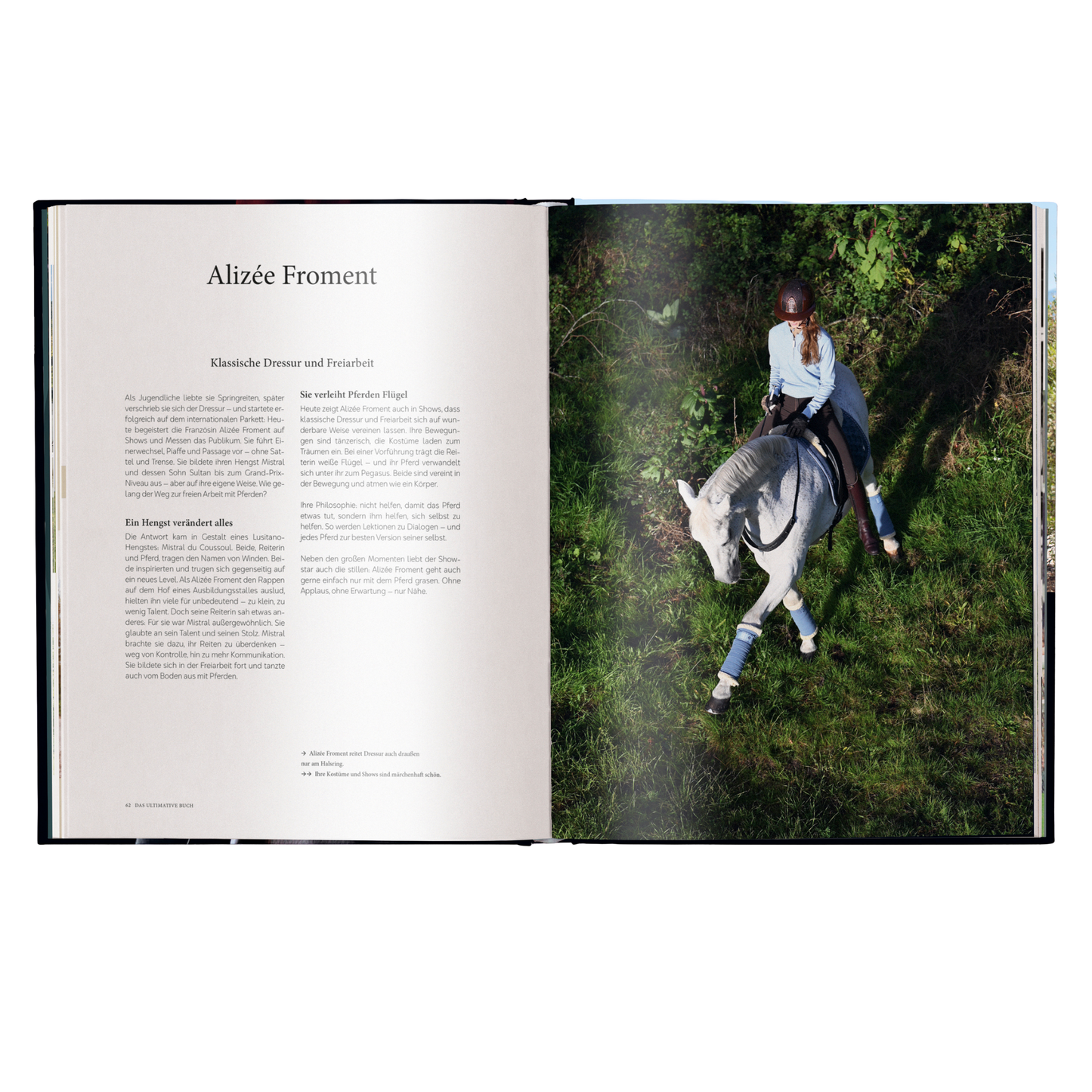 Reiten - Das ultimative Buch