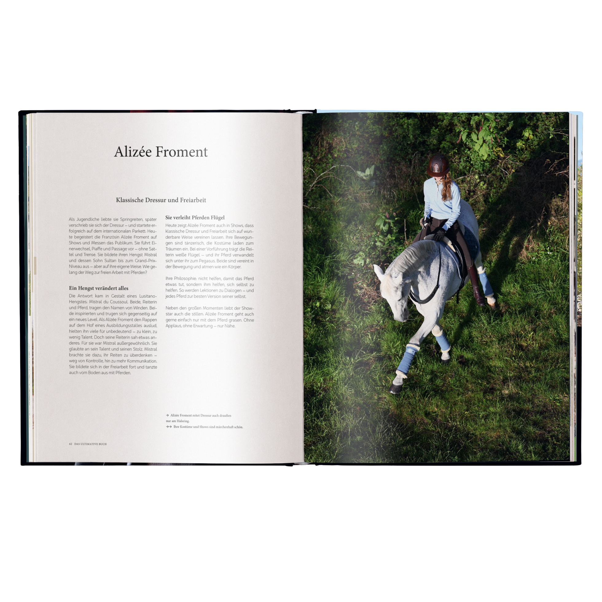 Reiten - Das ultimative Buch