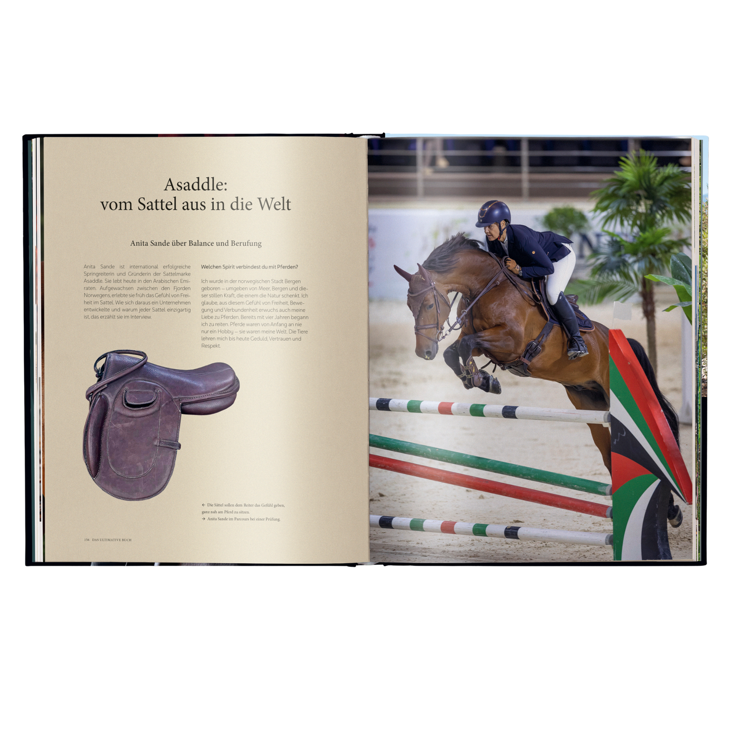 Reiten - Das ultimative Buch