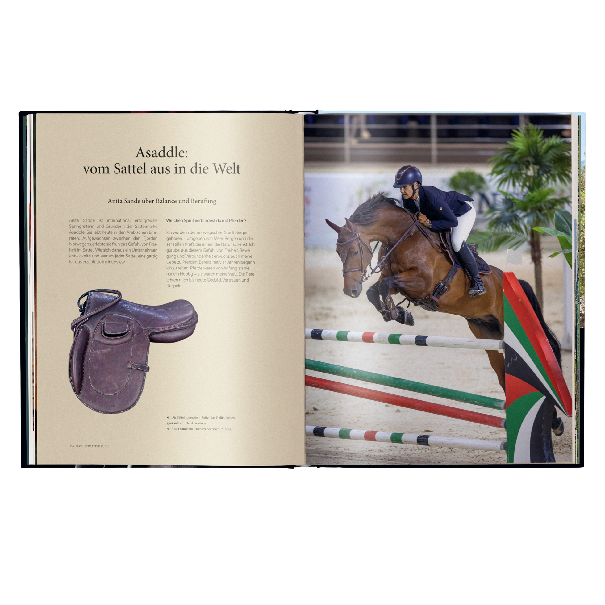 Reiten - Das ultimative Buch