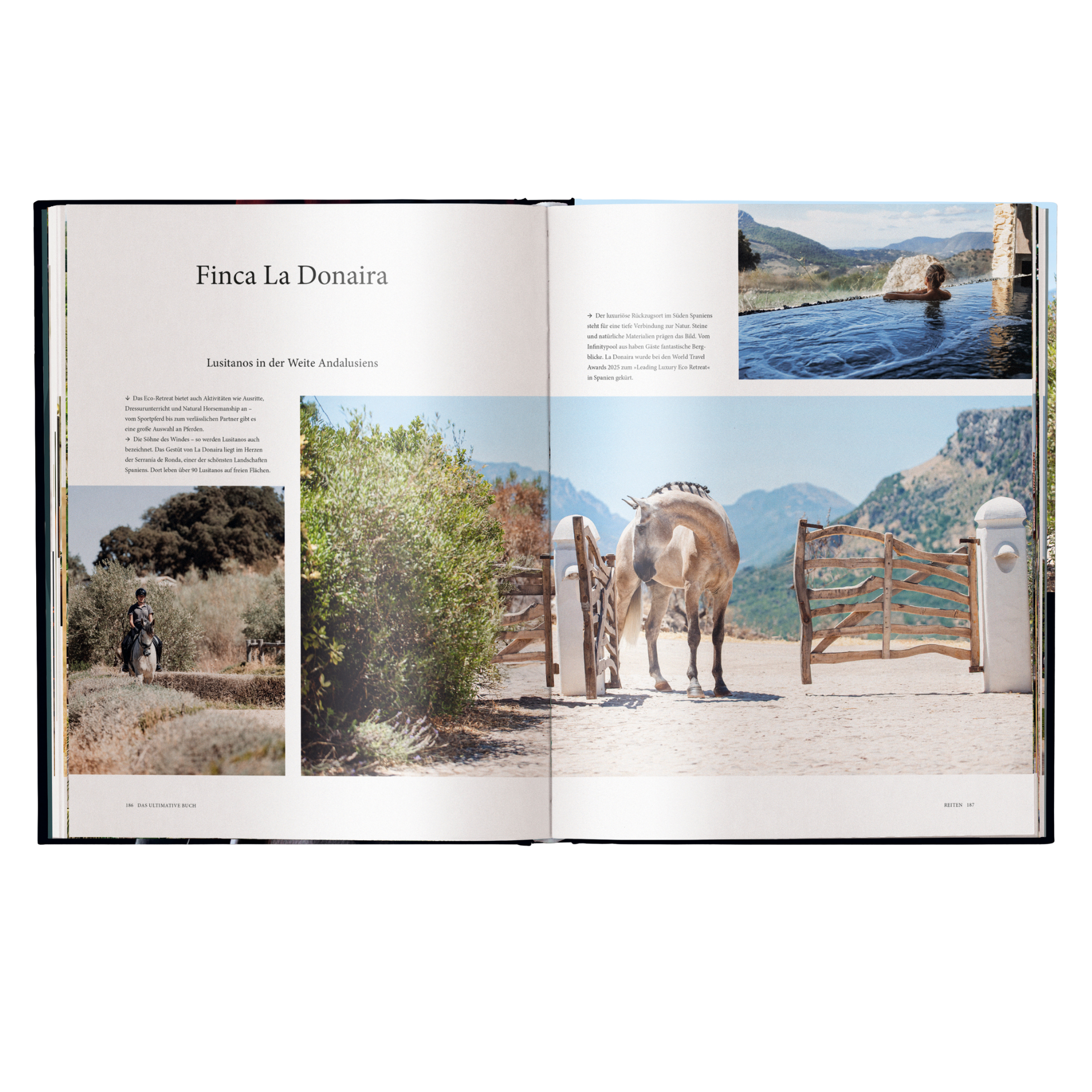 Reiten - Das ultimative Buch