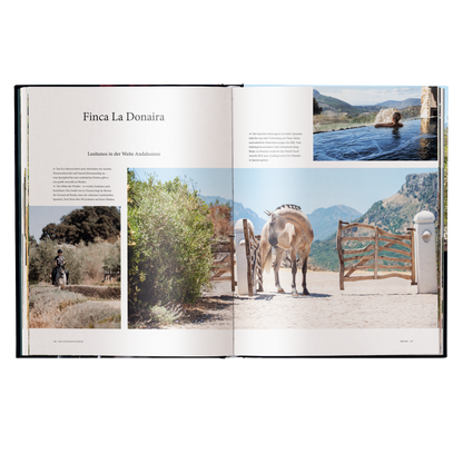 Reiten - Das ultimative Buch