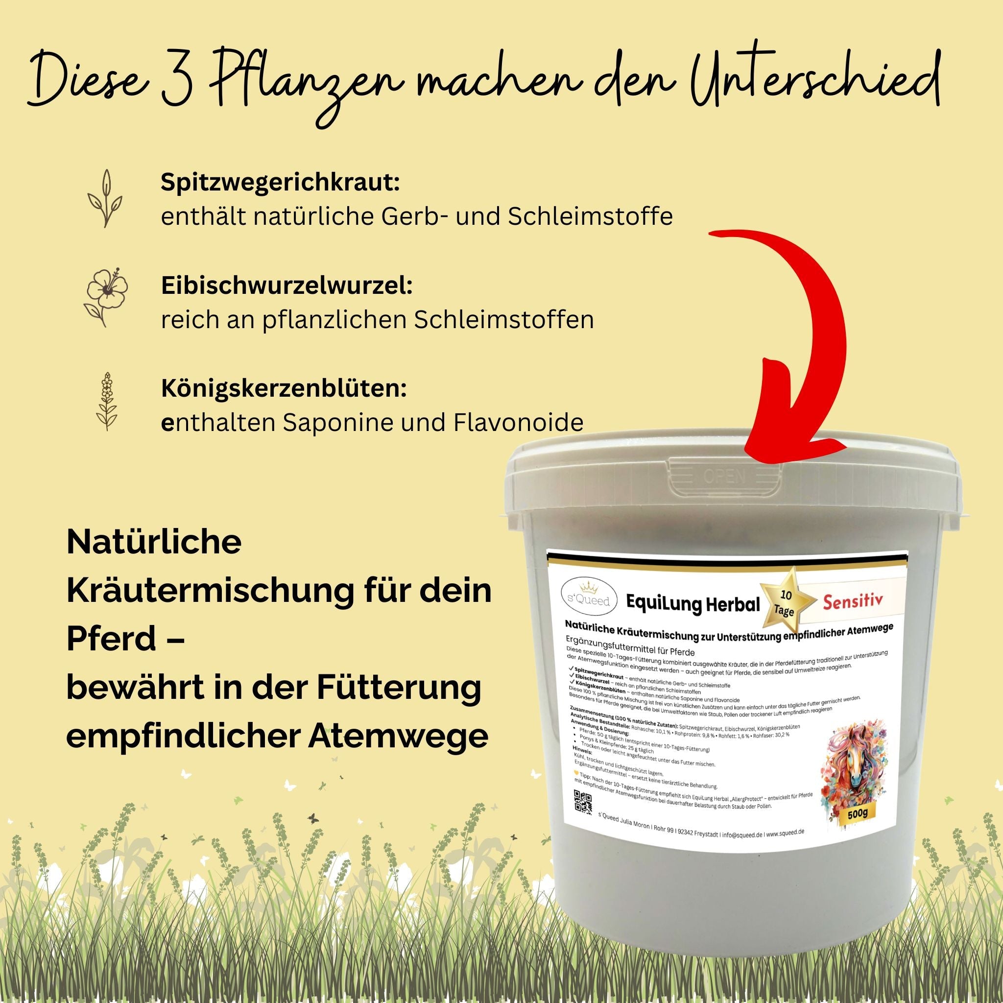 EquiLung Herbal Sensitiv – Kräutermischung für Pferde zur Unterstützung der Atemwege bei hoher Belastung durch Staub, Pollen & Umweltreize