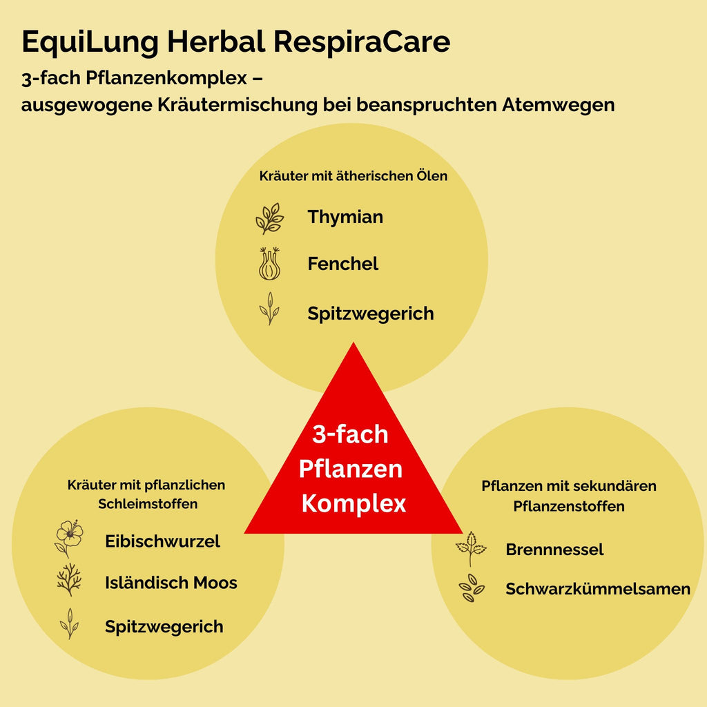 EquiLung Herbal RespiraCare – Kräutermischung für Pferde zur Langzeitfütterung bei beanspruchten Atemwegen durch nasskaltes Wetter und Temperaturwechsel