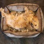 FlyingDog - Hundebett Henri