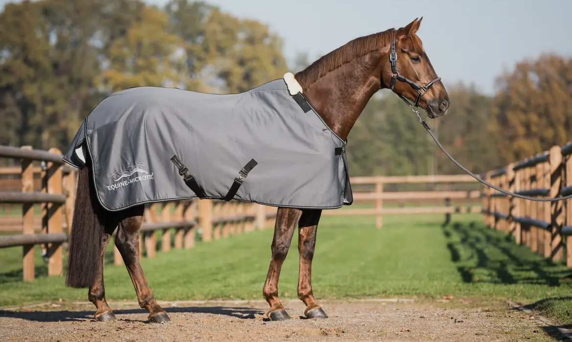 Abschwitzdecke One - Equine Microtec