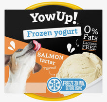 YowUp! Frozen Yoghurt Hundeeis - 1 Becher