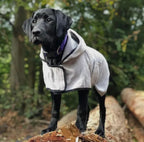 HappyPet GROOM Hunde-Bademantel gr L 55-60cm