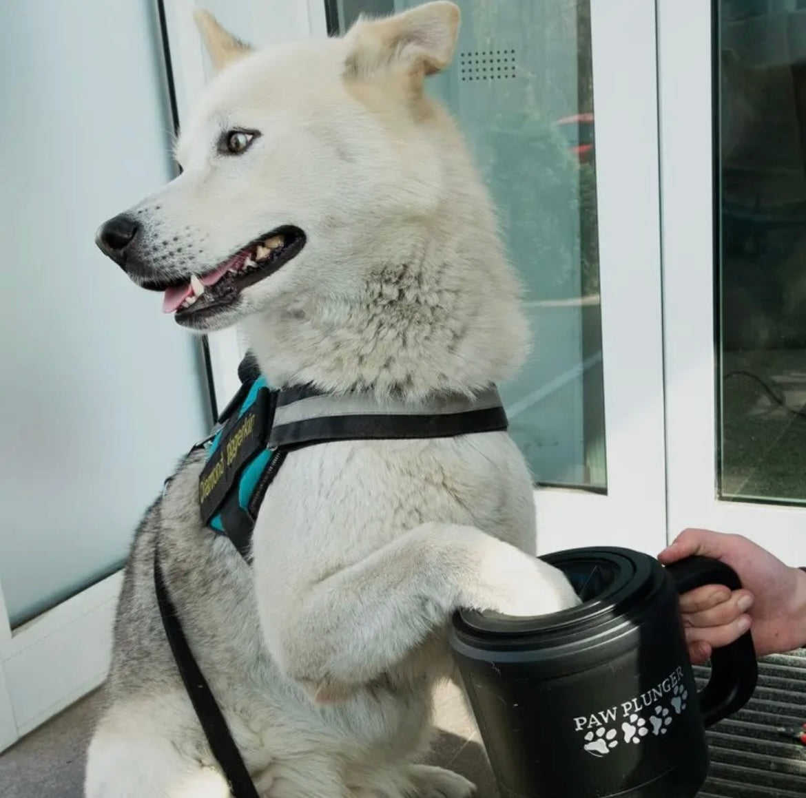 PerAnimal PawPlunger Pfotenreiniger