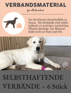 PAWS&PATCH SELBSTHAFTENDE VERBÄNDE – Piratenbox 6 Stück