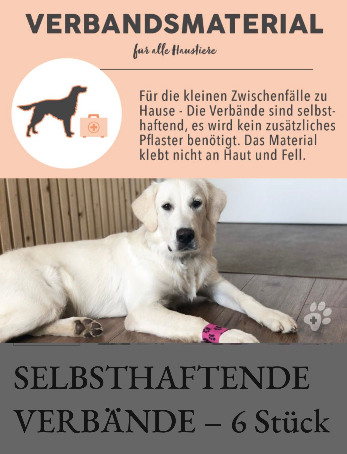 PAWS&PATCH SELBSTHAFTENDE VERBÄNDE – Piratenbox 6 Stück