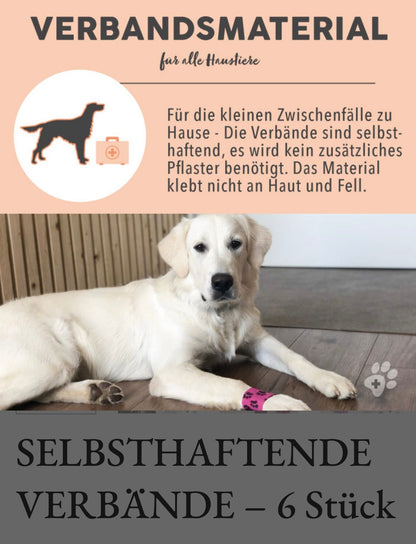 PAWS&PATCH SELBSTHAFTENDE VERBÄNDE – Piratenbox 6 Stück