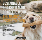 Canophera - Hundekaustab Kaffeeholz