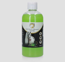 Excellent Hi Gloss Shampoo AloeVera 500ml