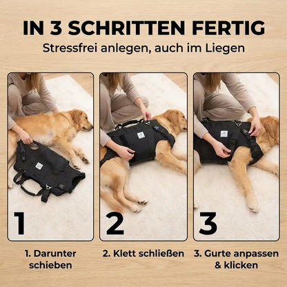 Durchgehende Tragehilfe für Hunde