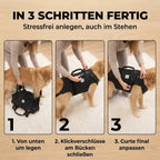 Durchgehende Tragehilfe für Hunde