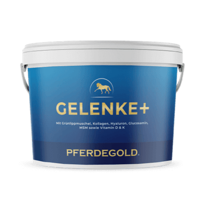 Gelenke+ 2.0