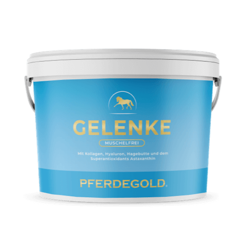 Pferdegold - Gelenke Muschelfrei 2.0