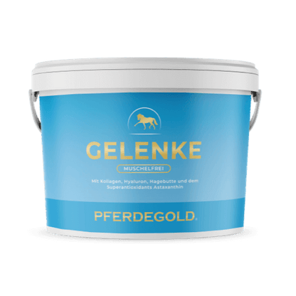 Pferdegold - Gelenke Muschelfrei 2.0