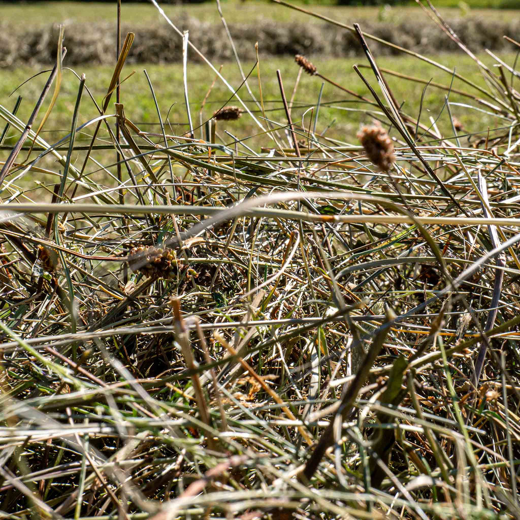 Naturwiesenheu Basic