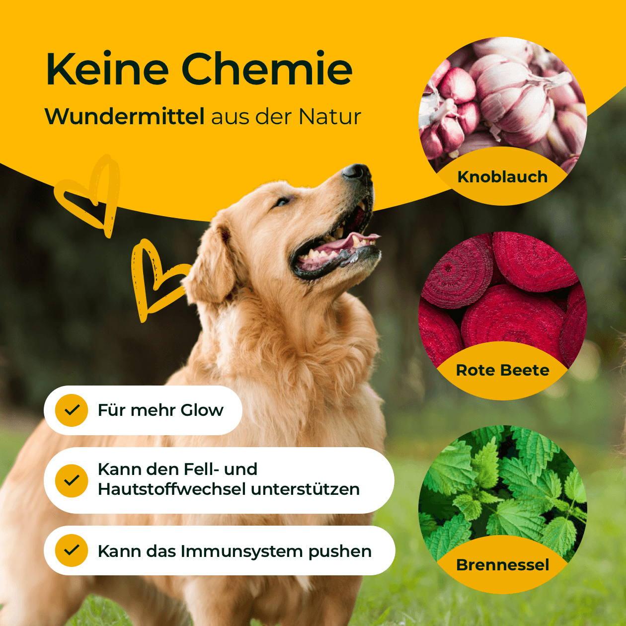 Hundpur® Haut und Fell