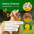 Hundpur® Verdauungsglück mit Probiotika