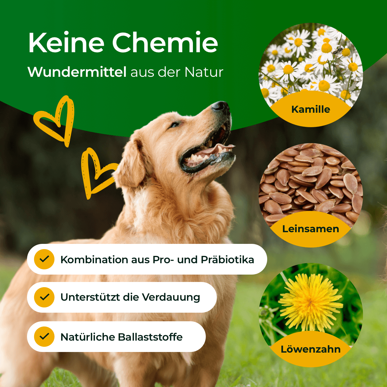 Hundpur® Verdauungsglück mit Probiotika