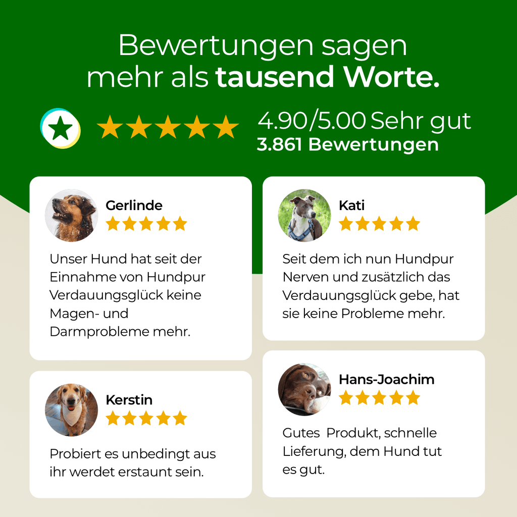 Hundpur® Verdauungsglück mit Probiotika