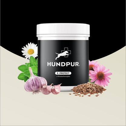 Hundpur® Z-Protect mit Kräuterkomplex