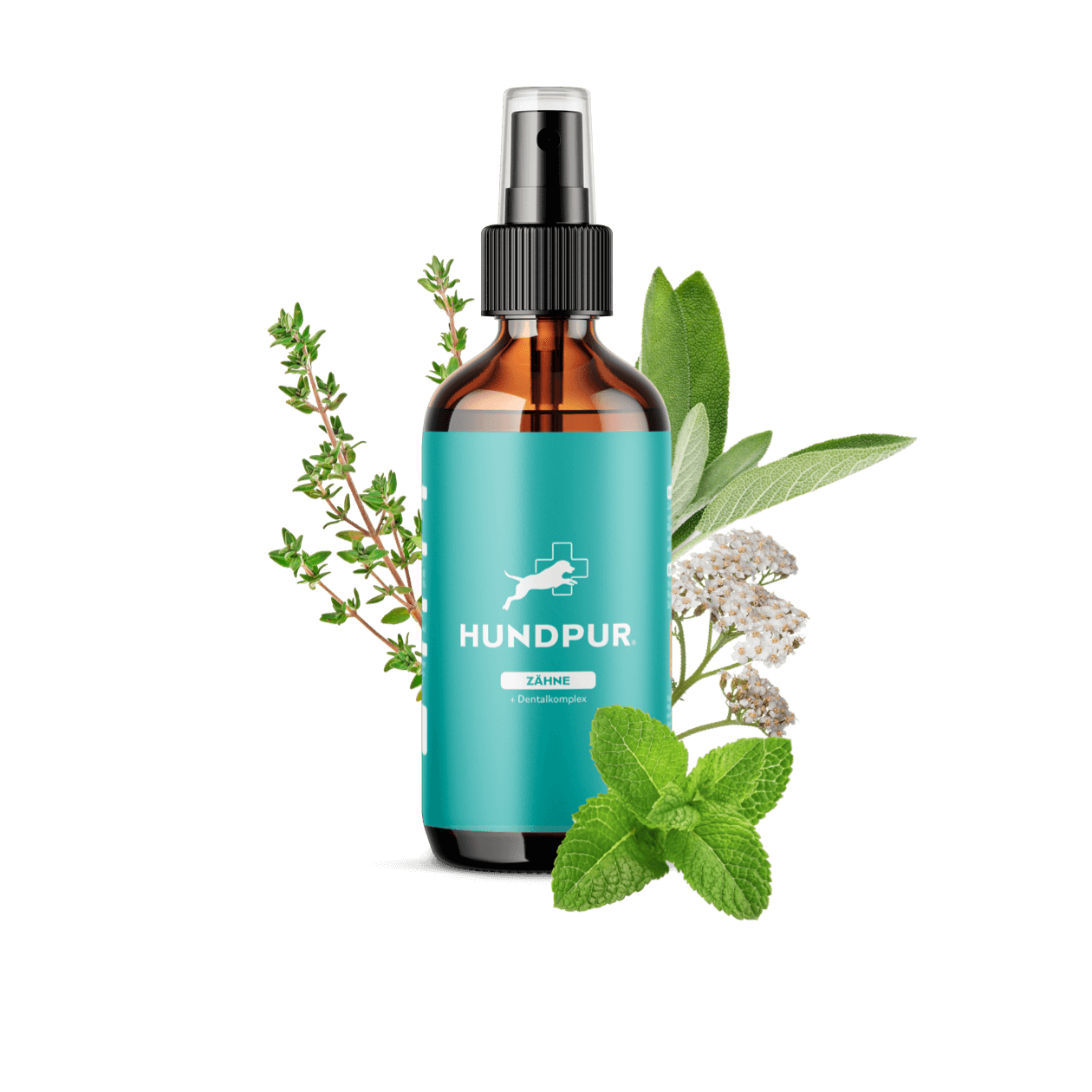 Hundpur® Dentalspray für Hunde