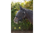 Icelandic Horse Halfter mit integrierter Fliegenschutzmaske