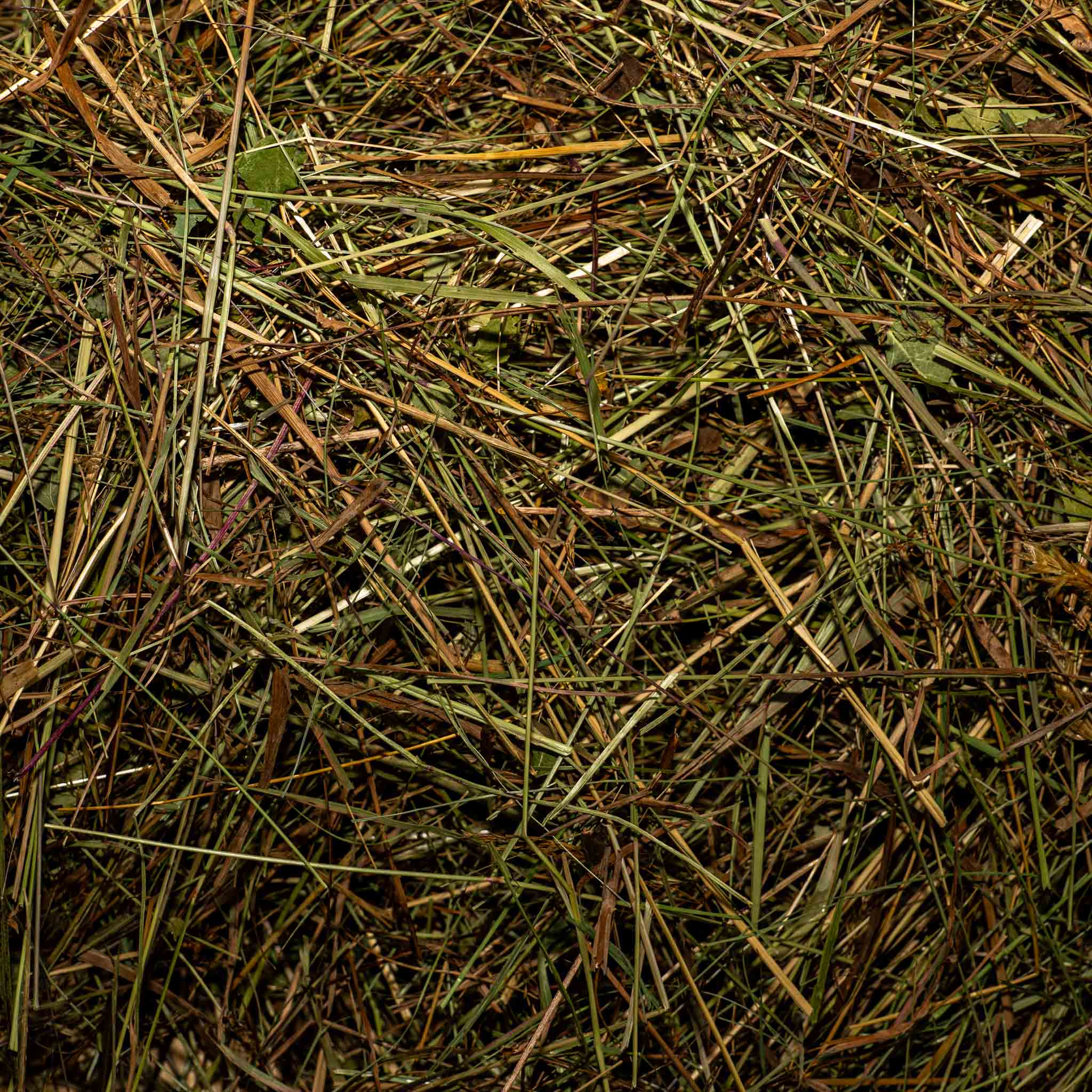 Naturwiesenheu Basic
