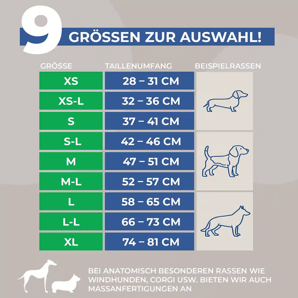 Läufigkeitshose für Hündinnen