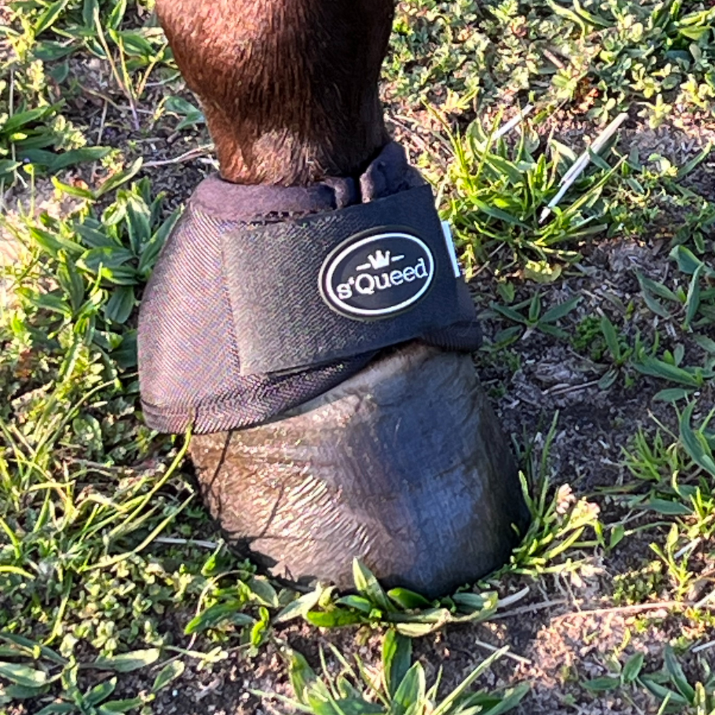 s´Queed - Hufglocken Bell Boots