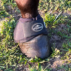 s´Queed - Hufglocken Bell Boots