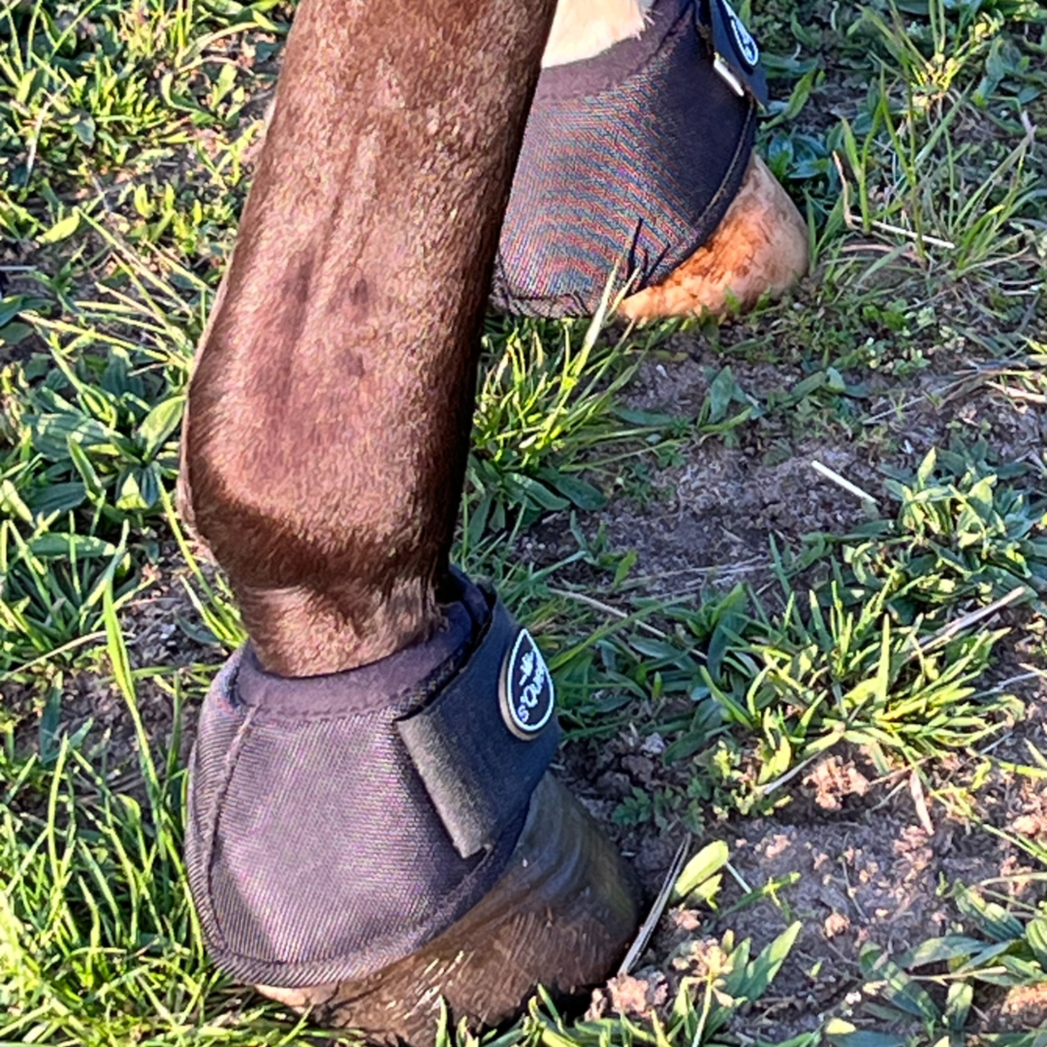 s´Queed - Hufglocken Bell Boots