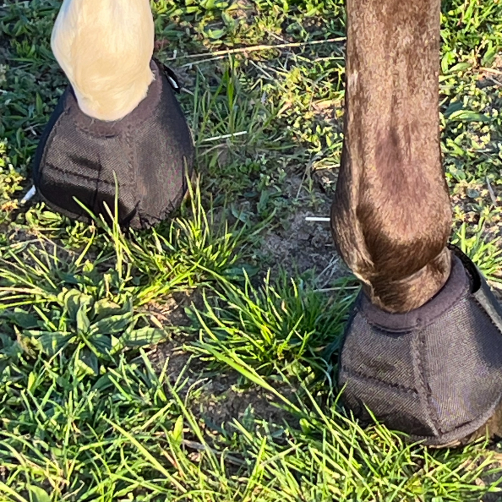 s´Queed - Hufglocken Bell Boots