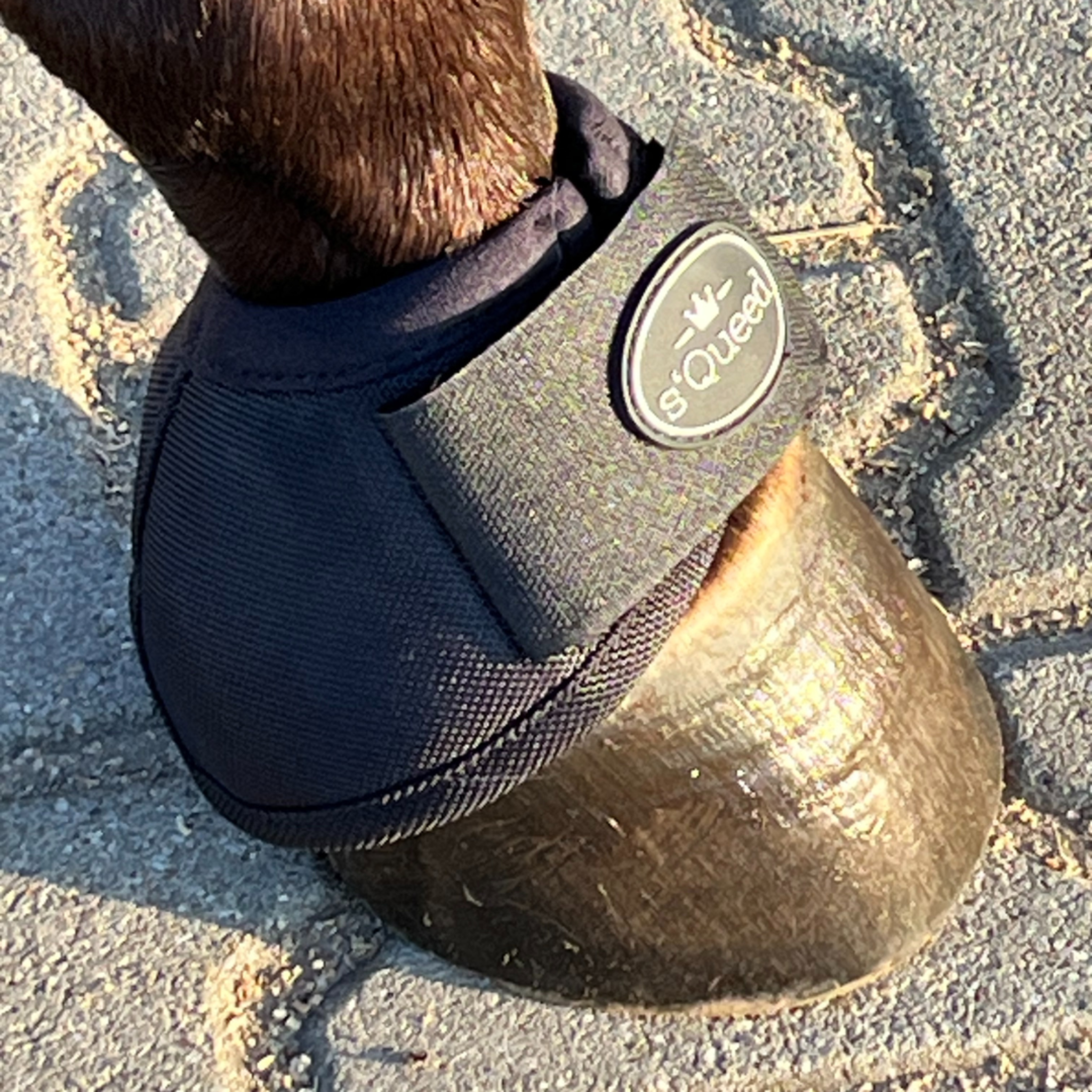 s´Queed - Hufglocken Bell Boots