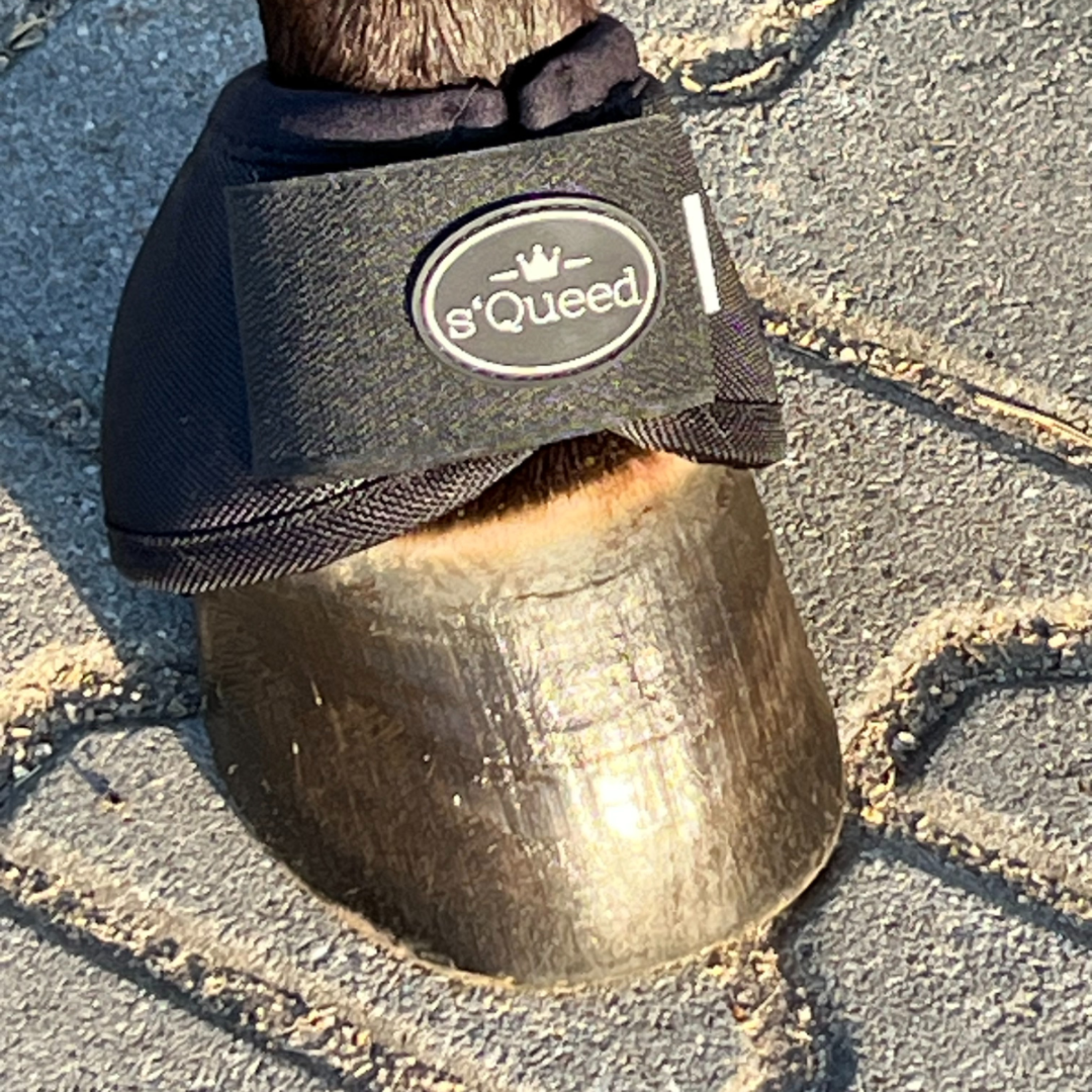 s´Queed - Hufglocken Bell Boots