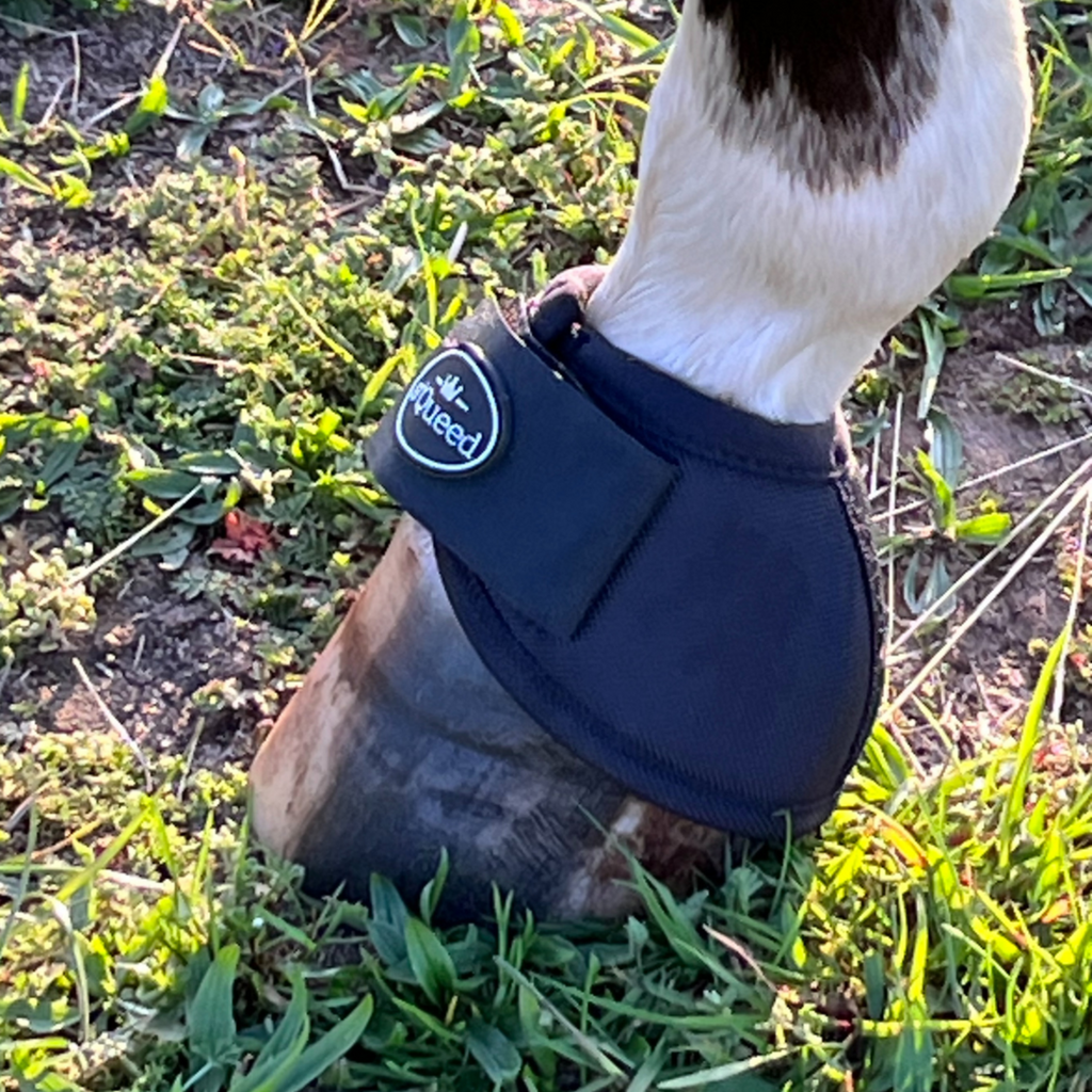 s´Queed - Hufglocken Bell Boots
